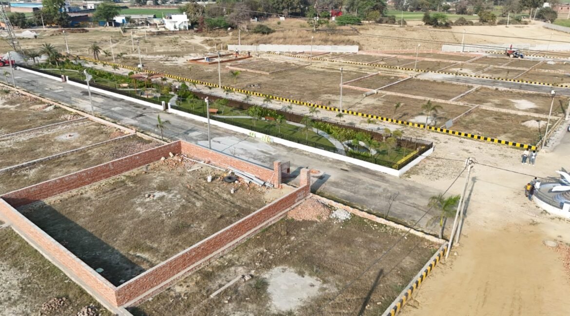 Plot 6